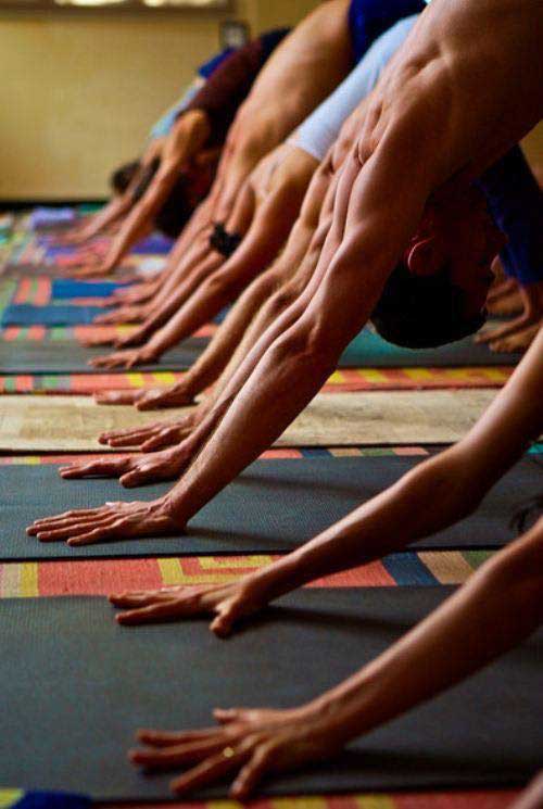 gerincjóga Budapest